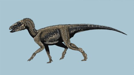 sacissauro-dinossauro-dinos-do-brasil-20111007-size-620