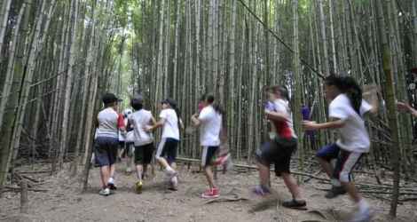 20160516083718896363i