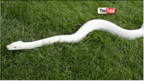 screen-shot-2015-06-17-at-9-29-11-am