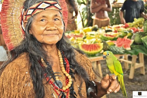 558815_195116387280262_319533127_n